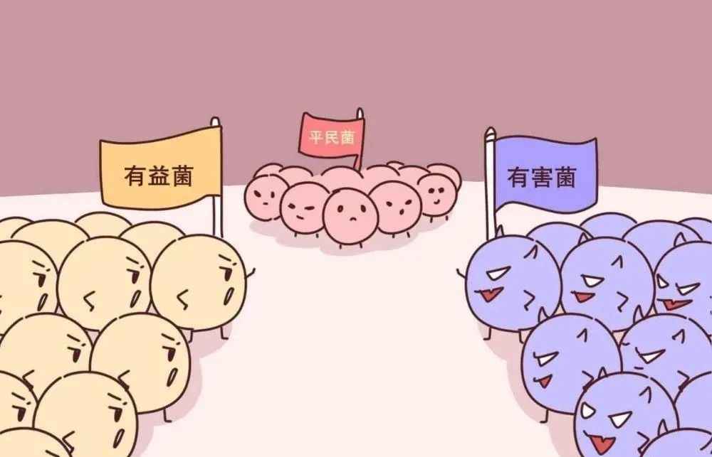 小妖说丨快来看看益生菌的作用有多少!