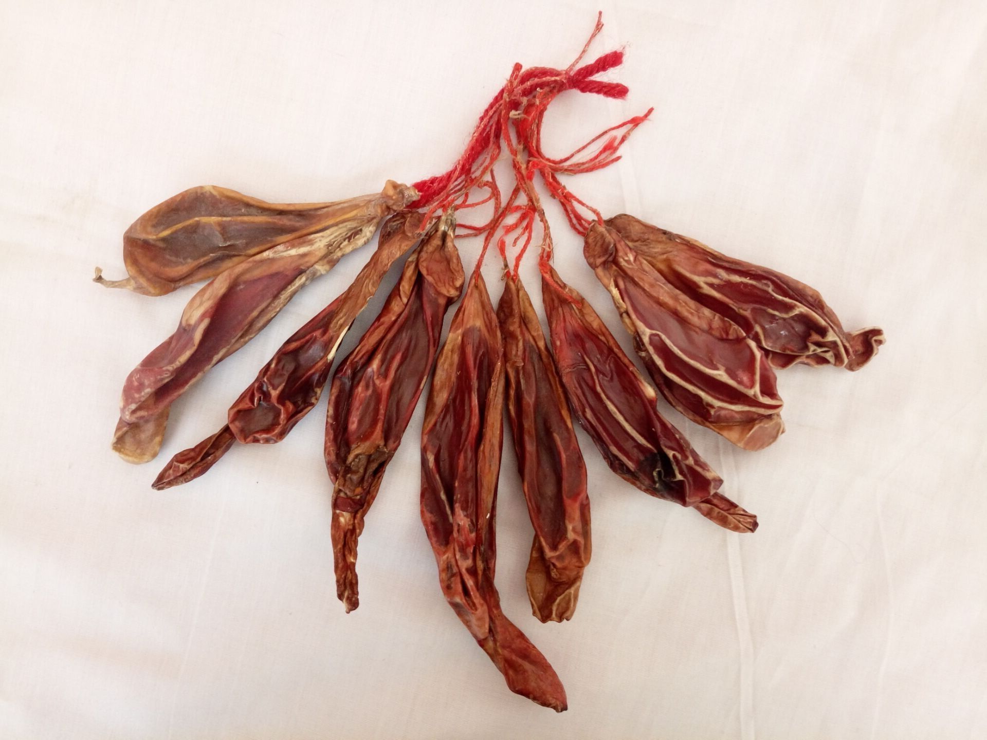 新麓说鹿之——鹿肾