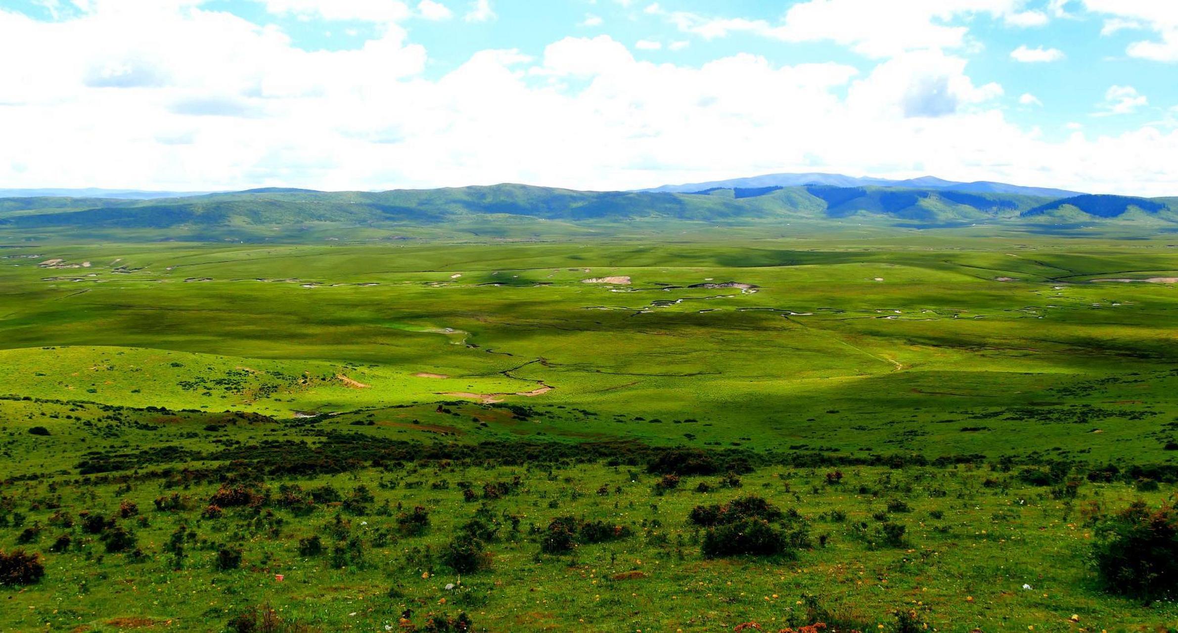 红军长征时那"吃人"的草地,如今过去80多年,现在变得怎么样?