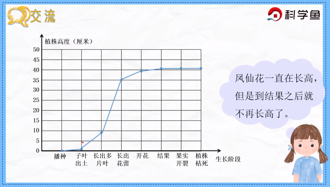 凤仙花传播种子的方法（凤仙花种子萌发时根总是怎么生长） 第11张