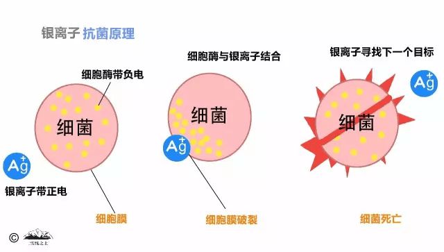 美容产品革命——银微粒子的使用