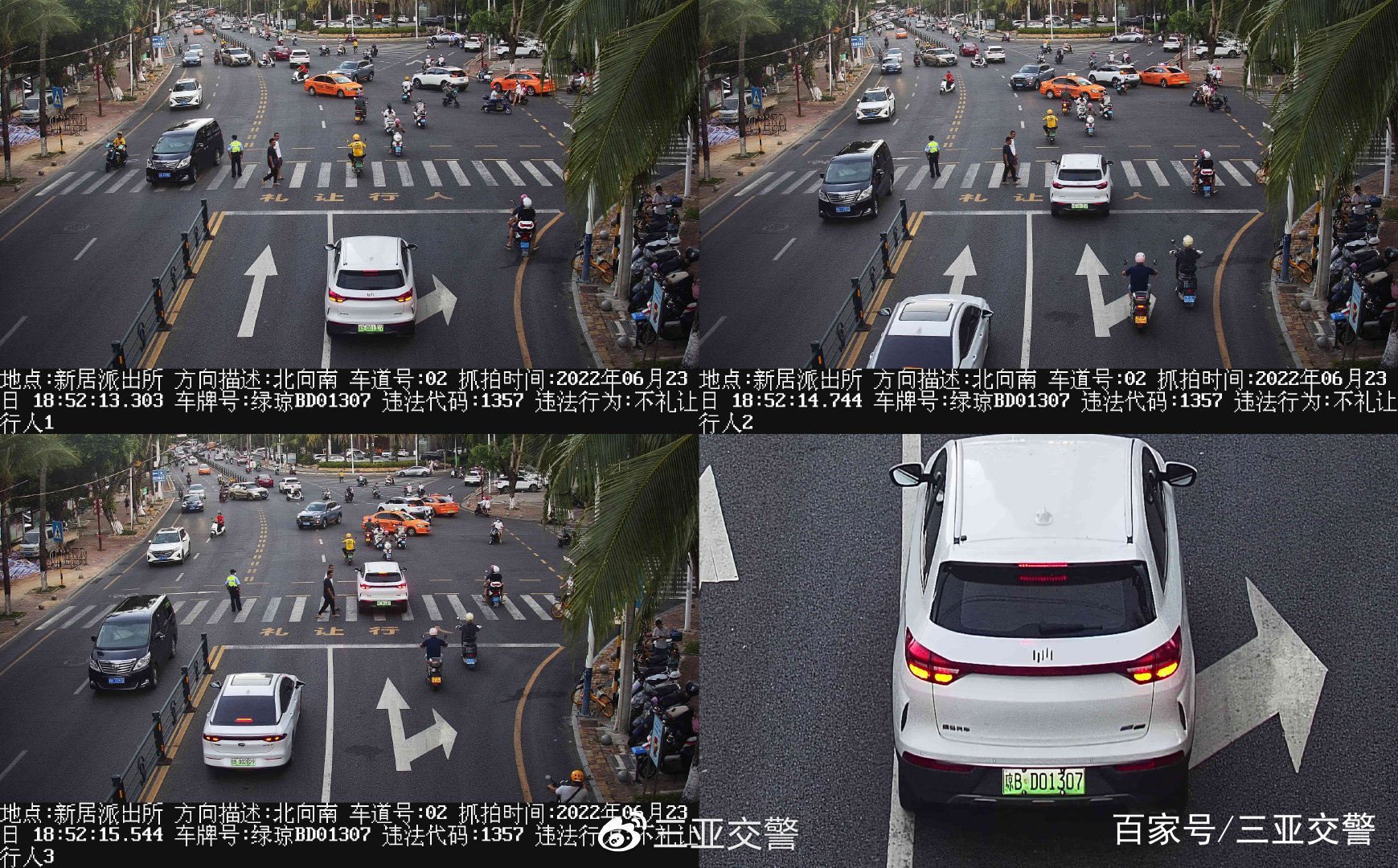 不文明交通行为曝光台｜机动车未礼让斑马线（七十四）(图7)