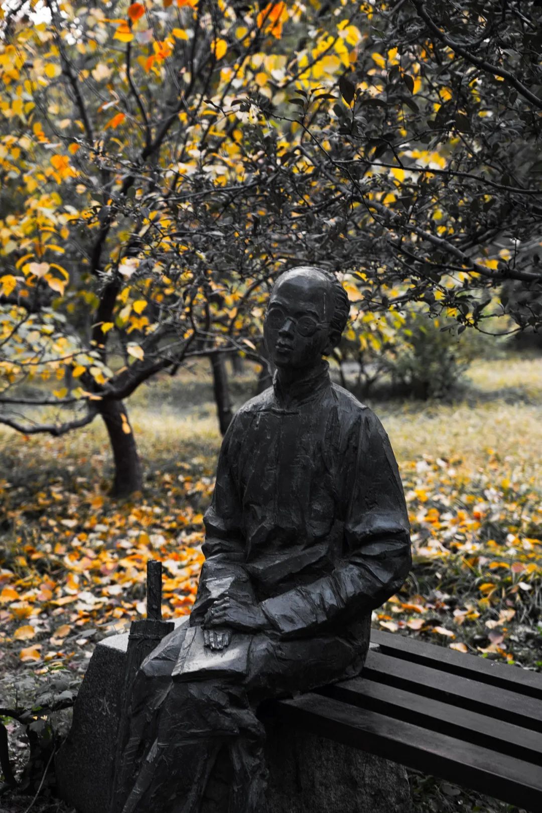 清华大学的秋:噢!叶!