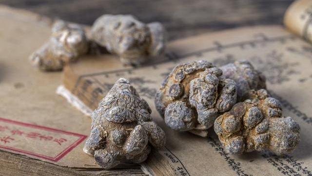 三七栽培技术,生品散瘀止血,消肿镇痛 熟品补血益气,好东西