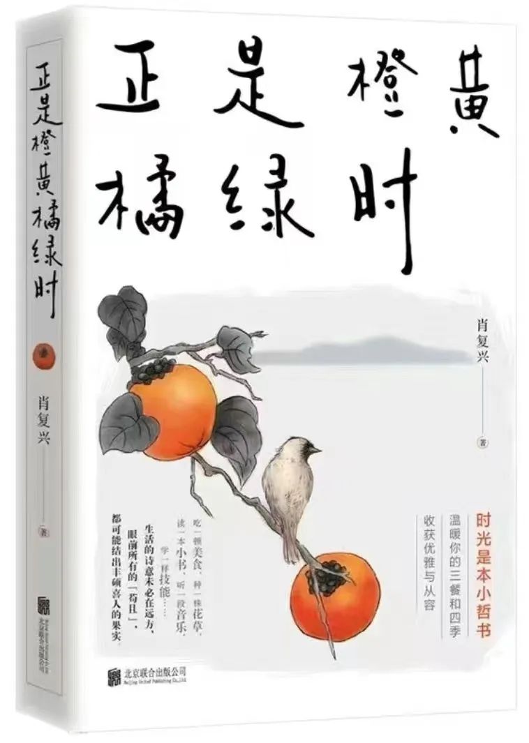 好书推荐丨《正是橙黄橘绿时》