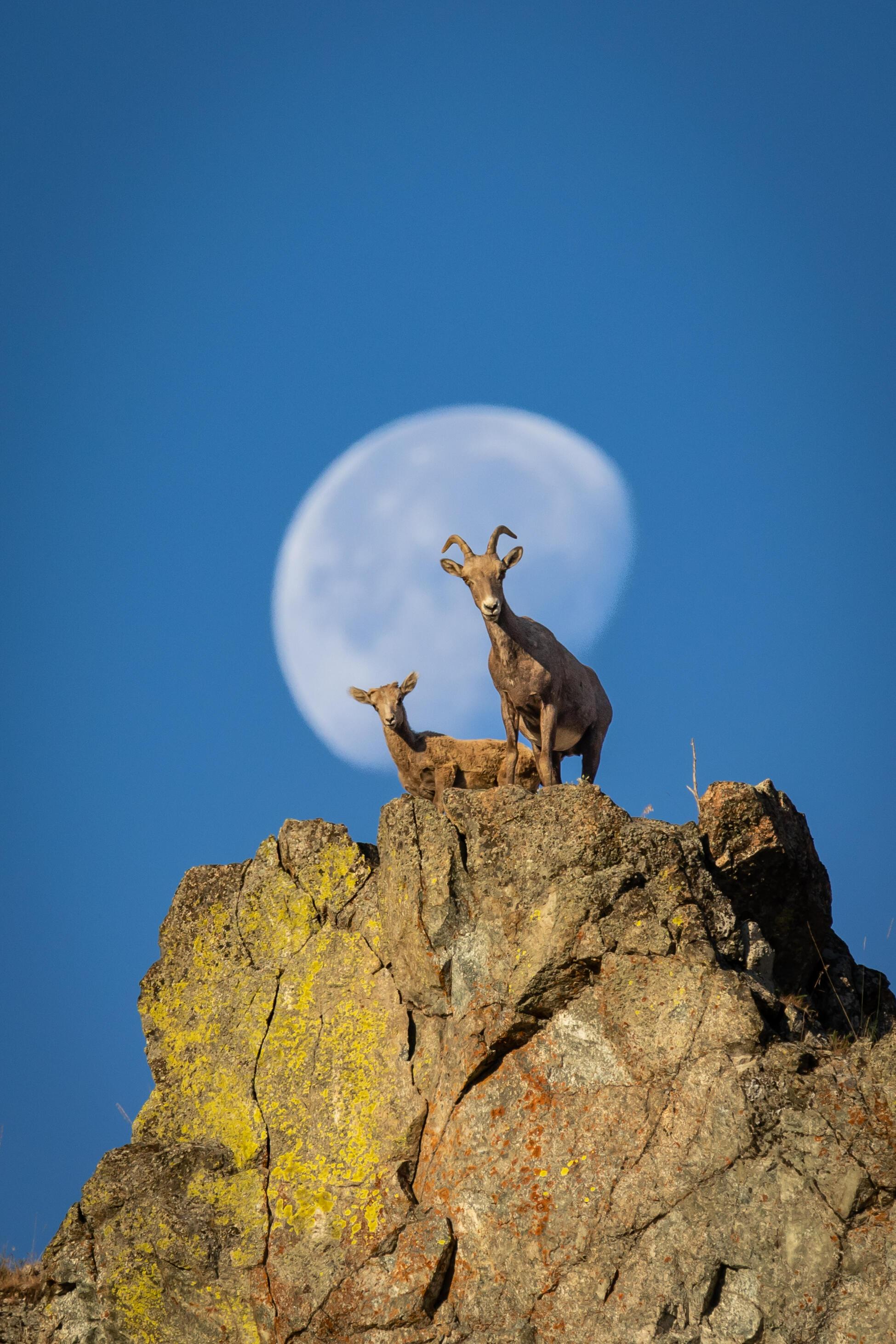 tnc 2022年全球摄影大赛——佳作欣赏