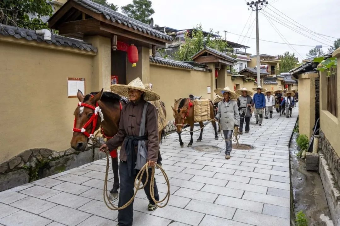越西马帮重走零关古道,追忆昔日灿烂文明!