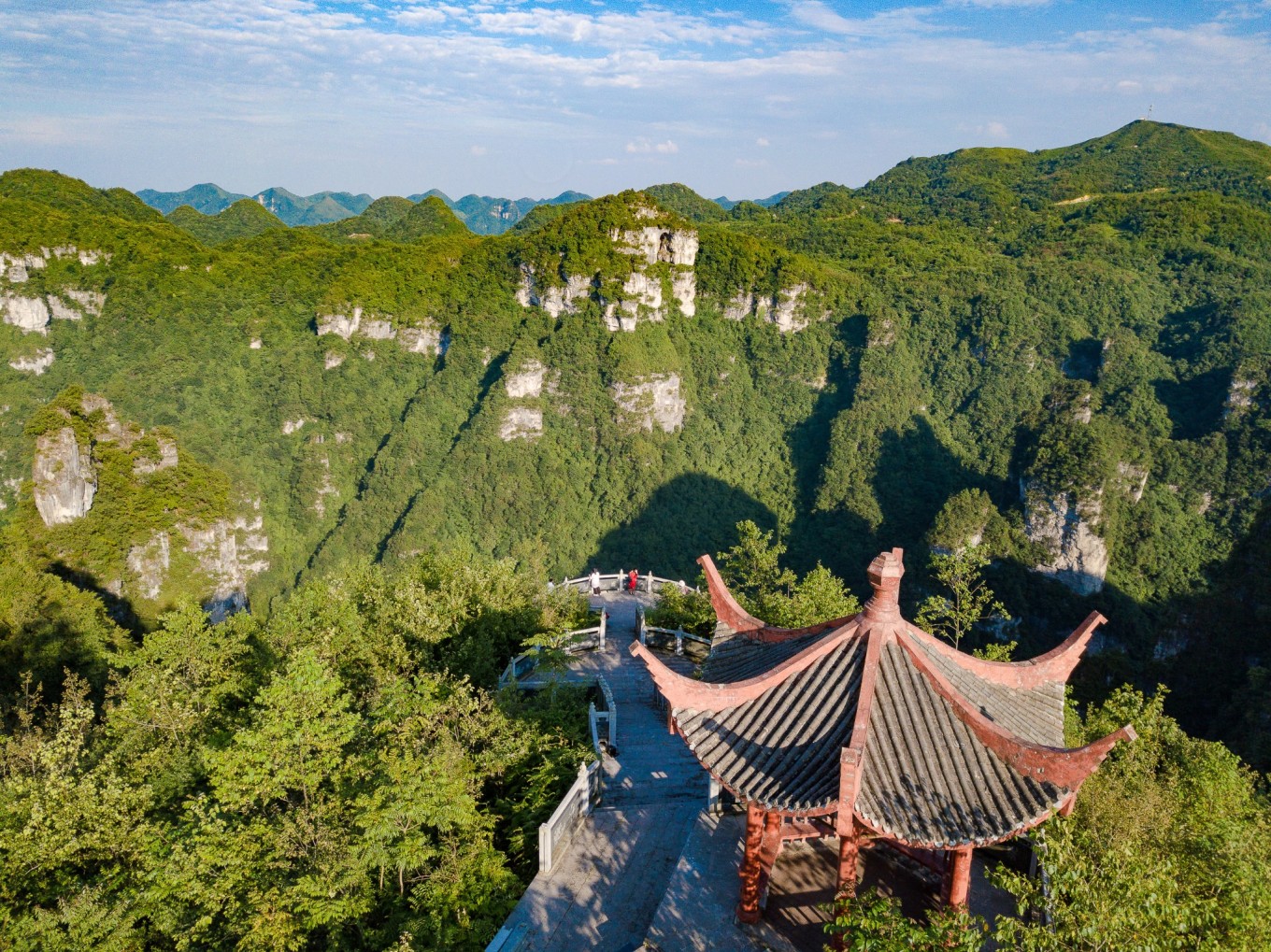 油杉河风景区在哪里图片