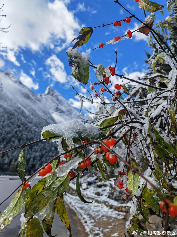 成都下雪照片图片