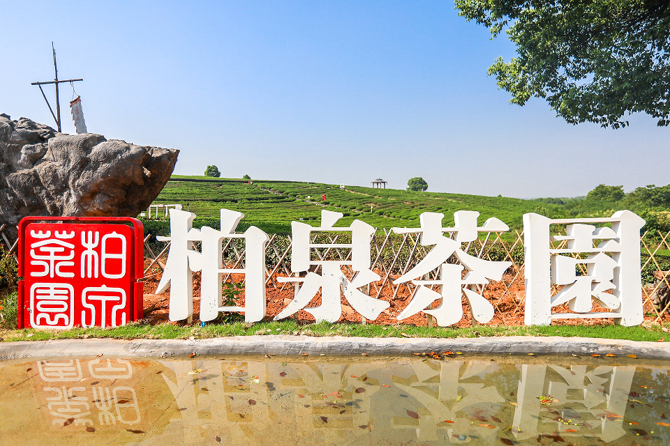 武汉市2022年云上中国农民丰收节之东西湖区柏泉茶园