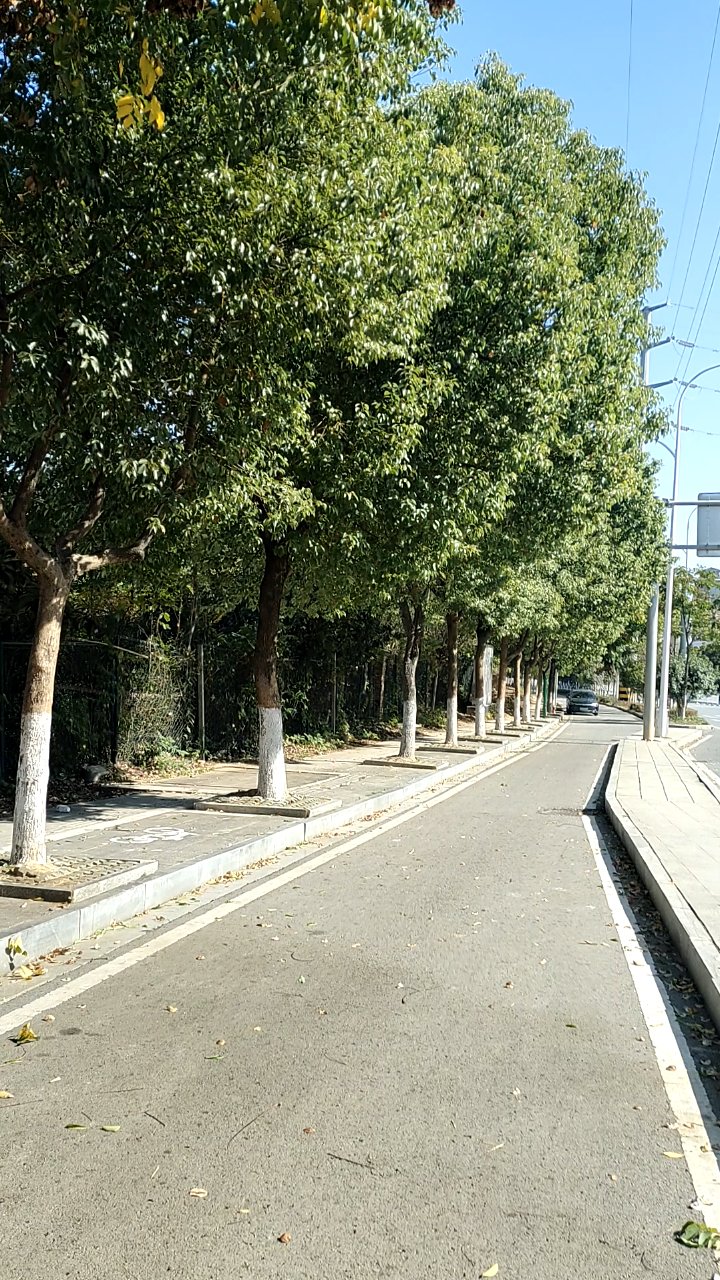 午间城市的大街