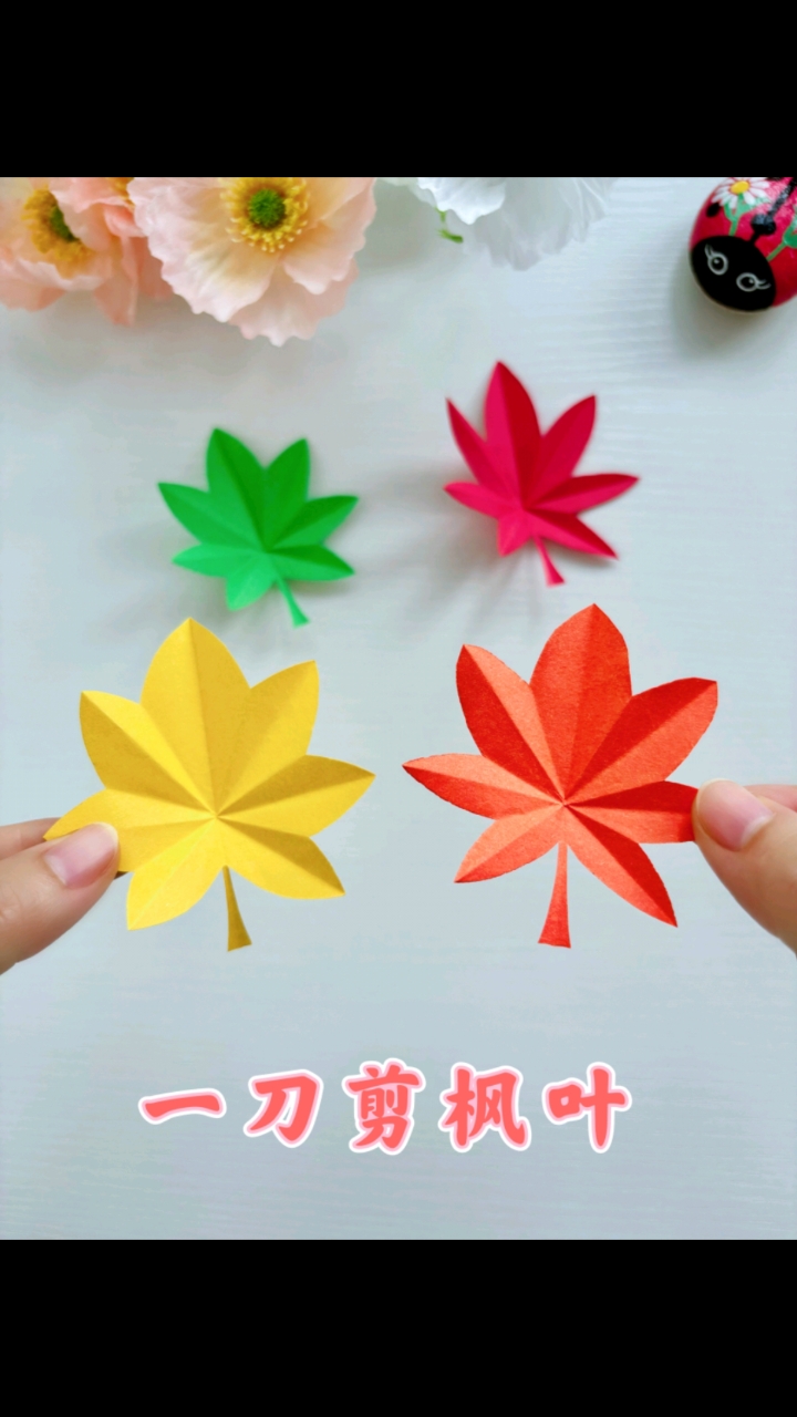 一刀剪出枫叶(折纸剪纸)