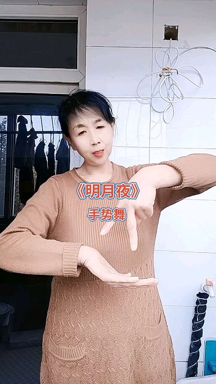 萤火计划.手势舞《明月夜》