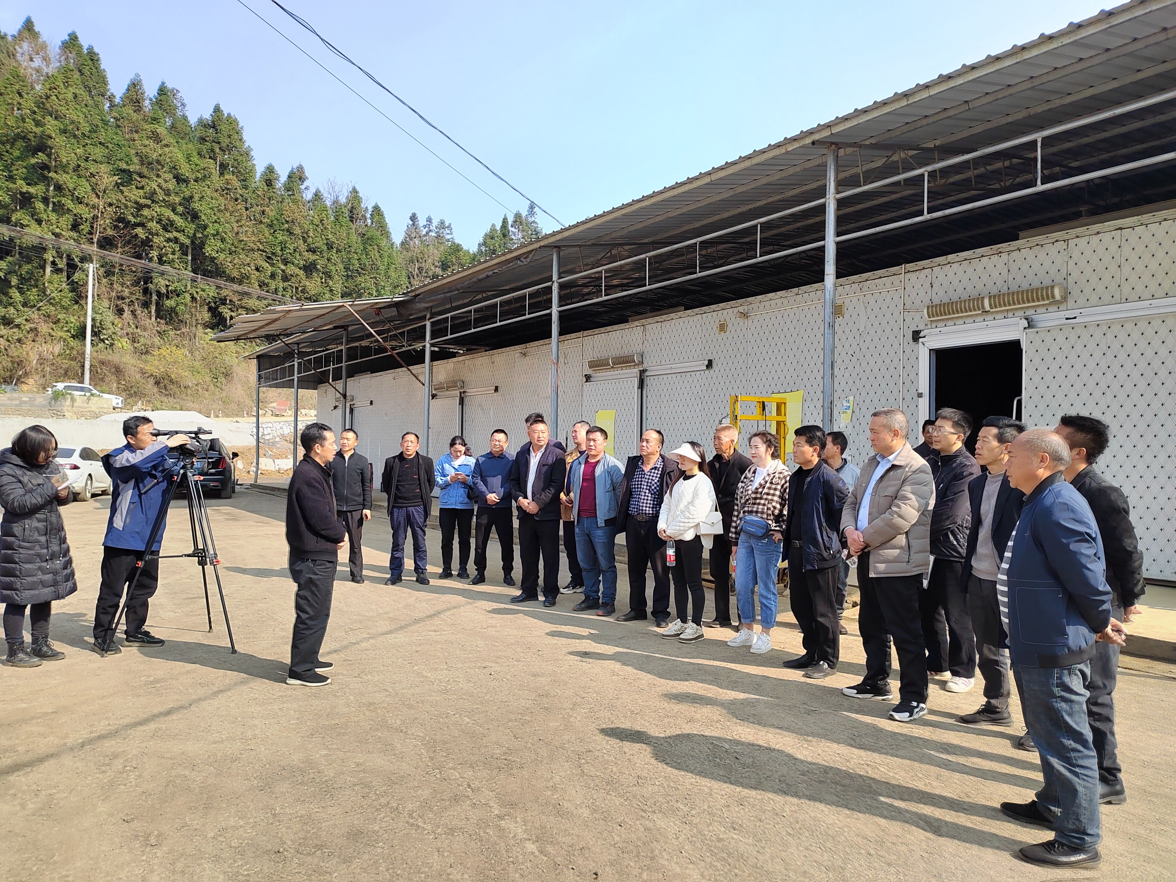 安龙县普坪镇食用菌产业发展推进会召开