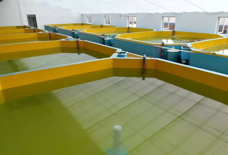 海容模块保温养殖池让北方养殖户不用再为水温问题困扰