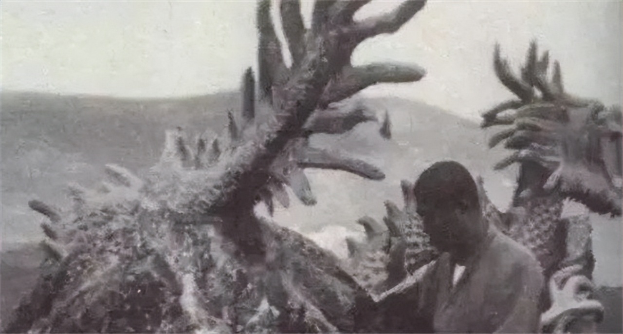 22年前黑山子村"双龙"事件,村民目击黑白双龙,用凉席泼水救助