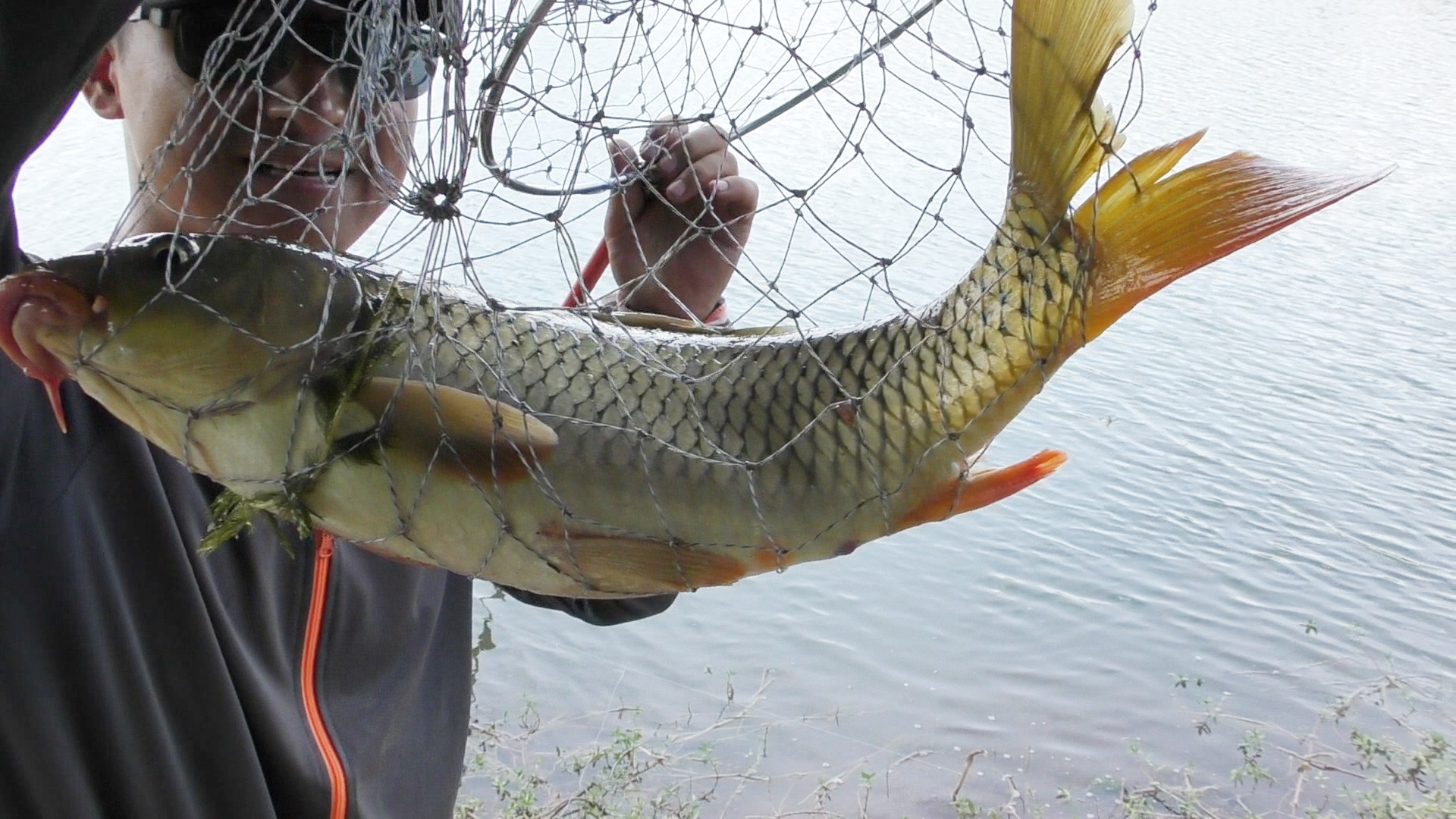 浅谈秋季野钓攻略,饵料不难找套路要用好,渔获少不了