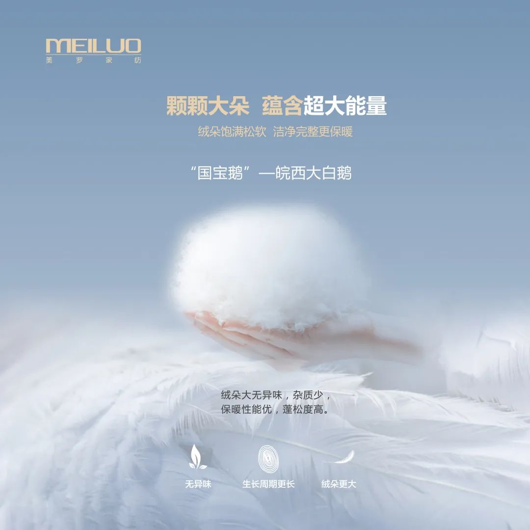 鹅绒- 热门商品专区