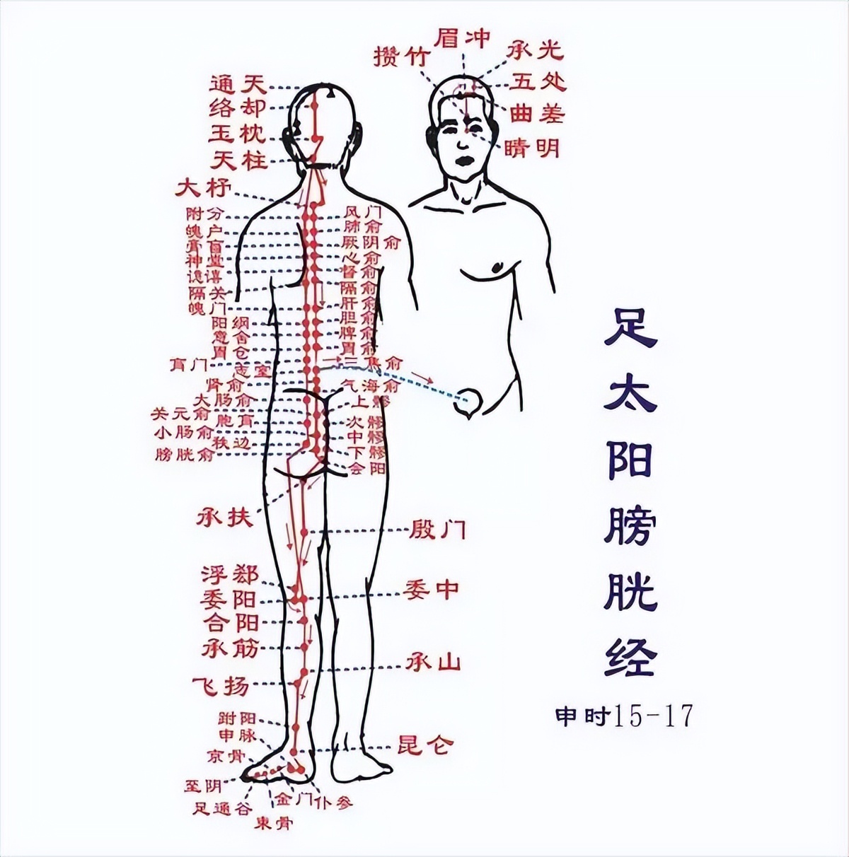 足太阳膀胱经不通的表现