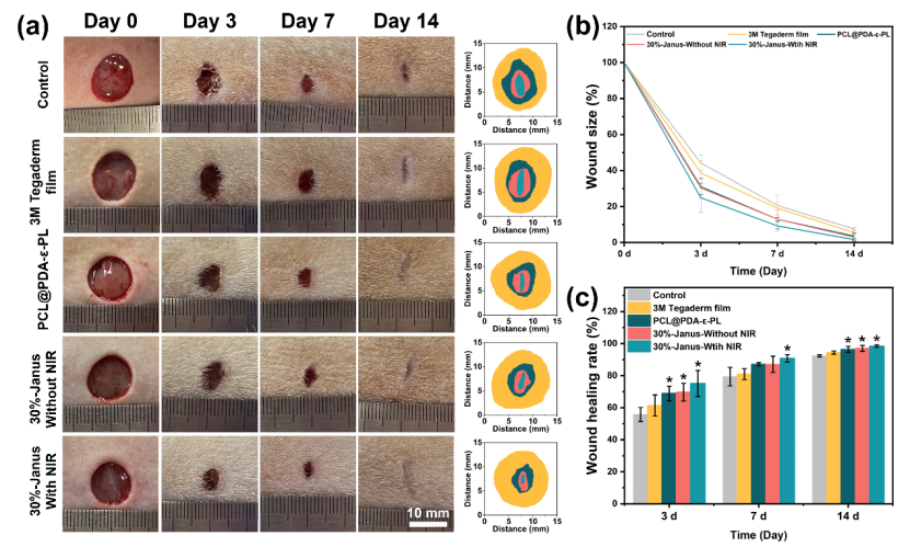 《acs ami》:多功能集成型janus纳米纤维伤口敷料