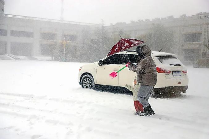 这大雪沧州30年没见!昨天听到"雷打雪"了吗?今年降雪会多吗?