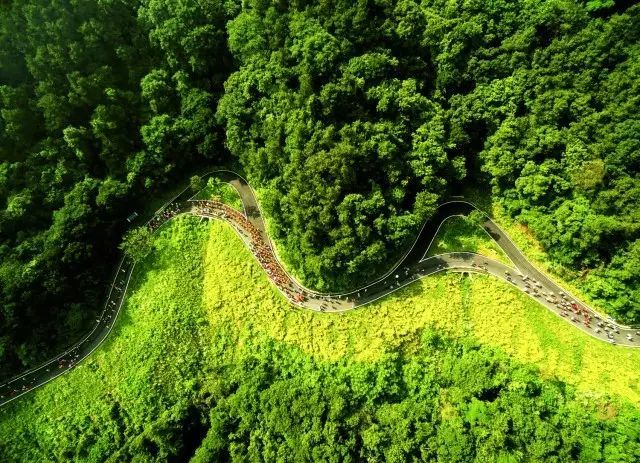 江夏环山绿道,演绎万种风情