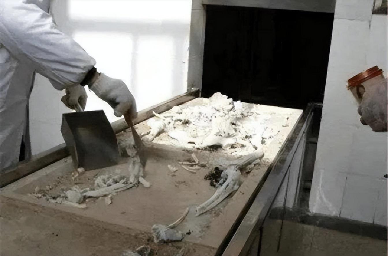 谋财害命,火化活人