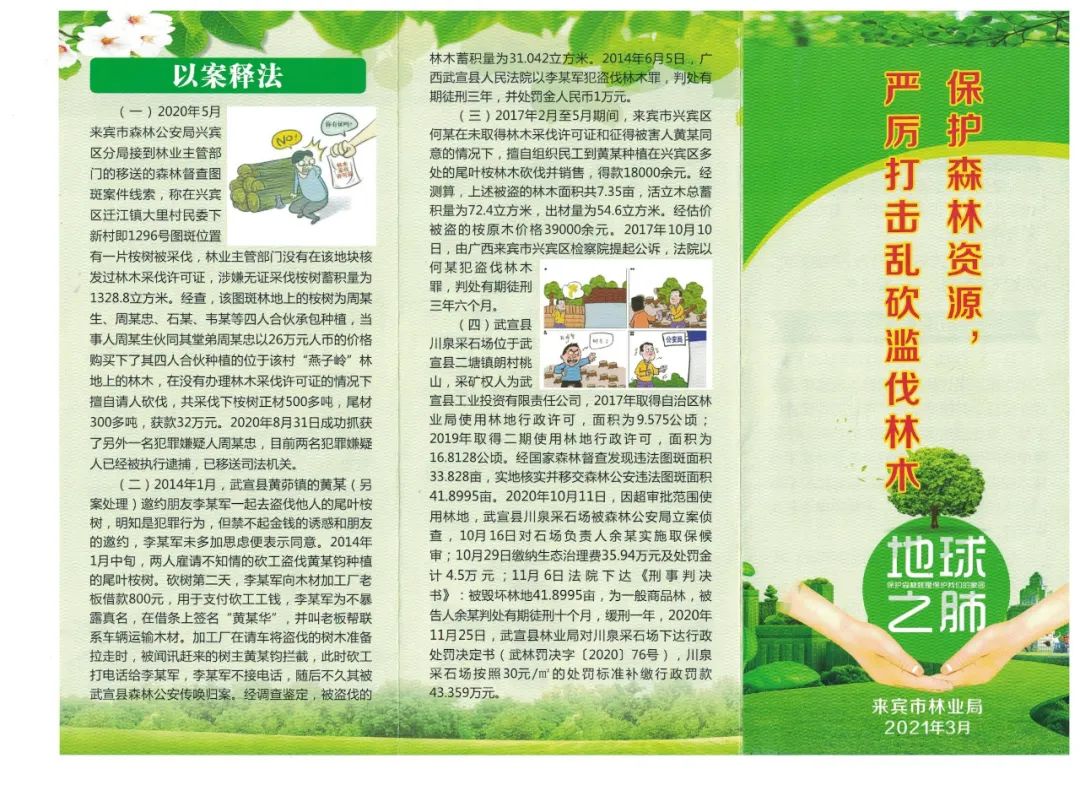 保护森林资源,严厉打击乱砍滥伐林木