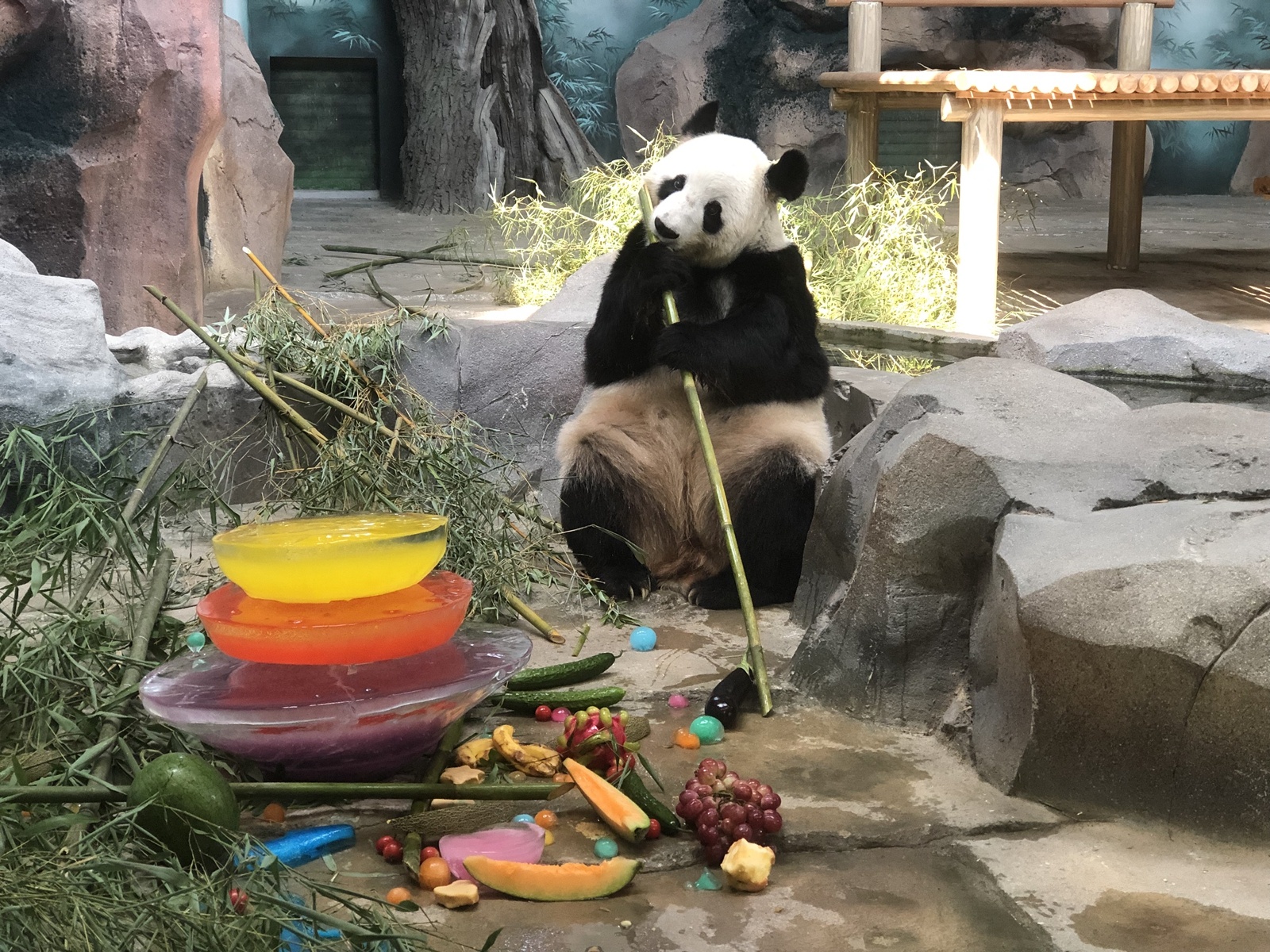 苏州太湖大熊猫科普馆图片