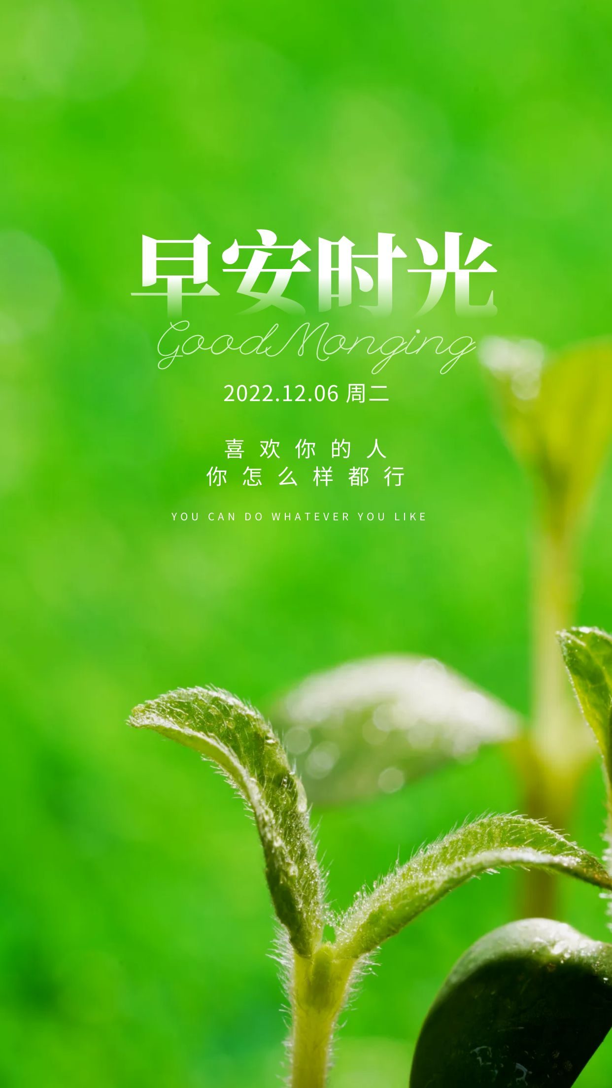 早安正能量图片文案:用行动开启美好,用拼搏开拓未来!