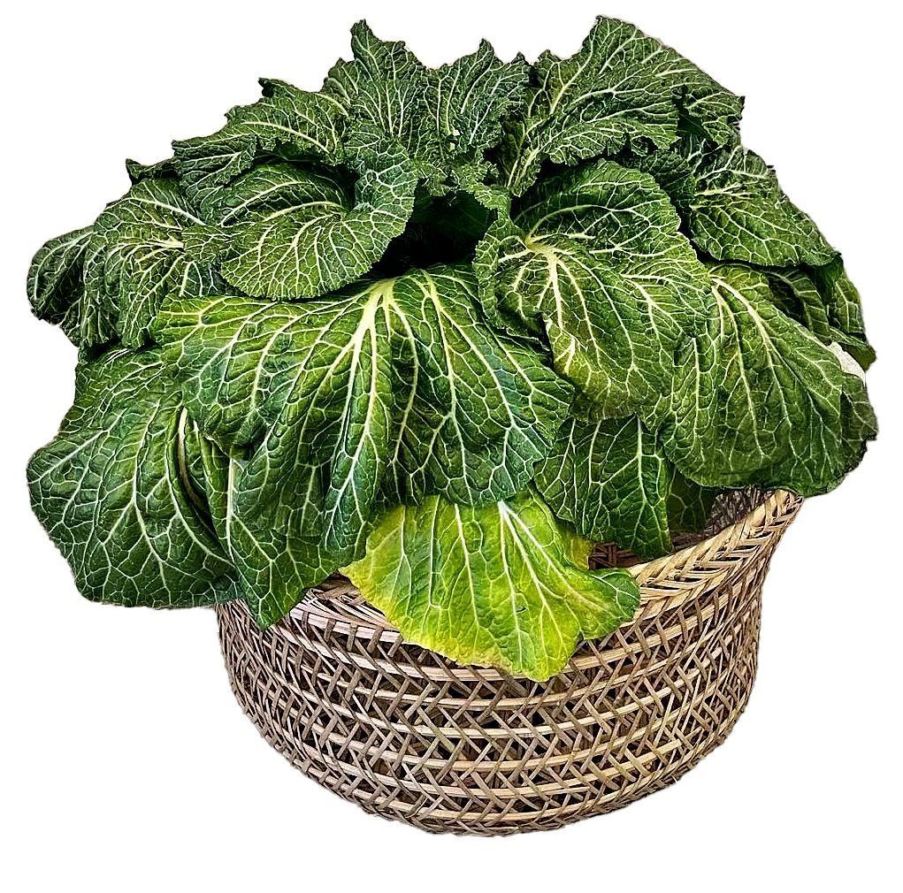 苏州珍稀蔬菜:产地不可复制,只有这一小块地方才能品尝到!