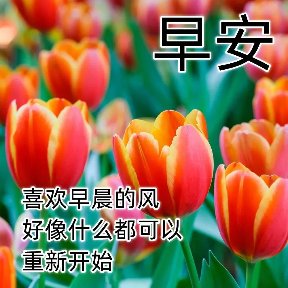 清晨祝福朋友们美好的早安问候图片