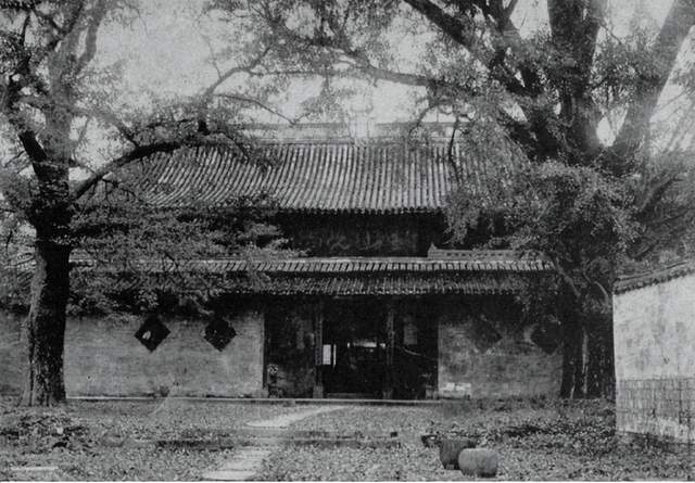 中国女飞贼宋莲萍:靠"轻功"谋财无数,逃跑途中被击毙