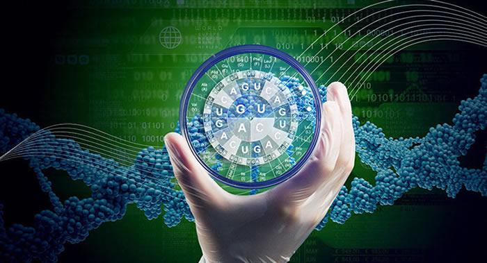 生物计算机被广泛应用于多种领域,具有着广阔的发展前景