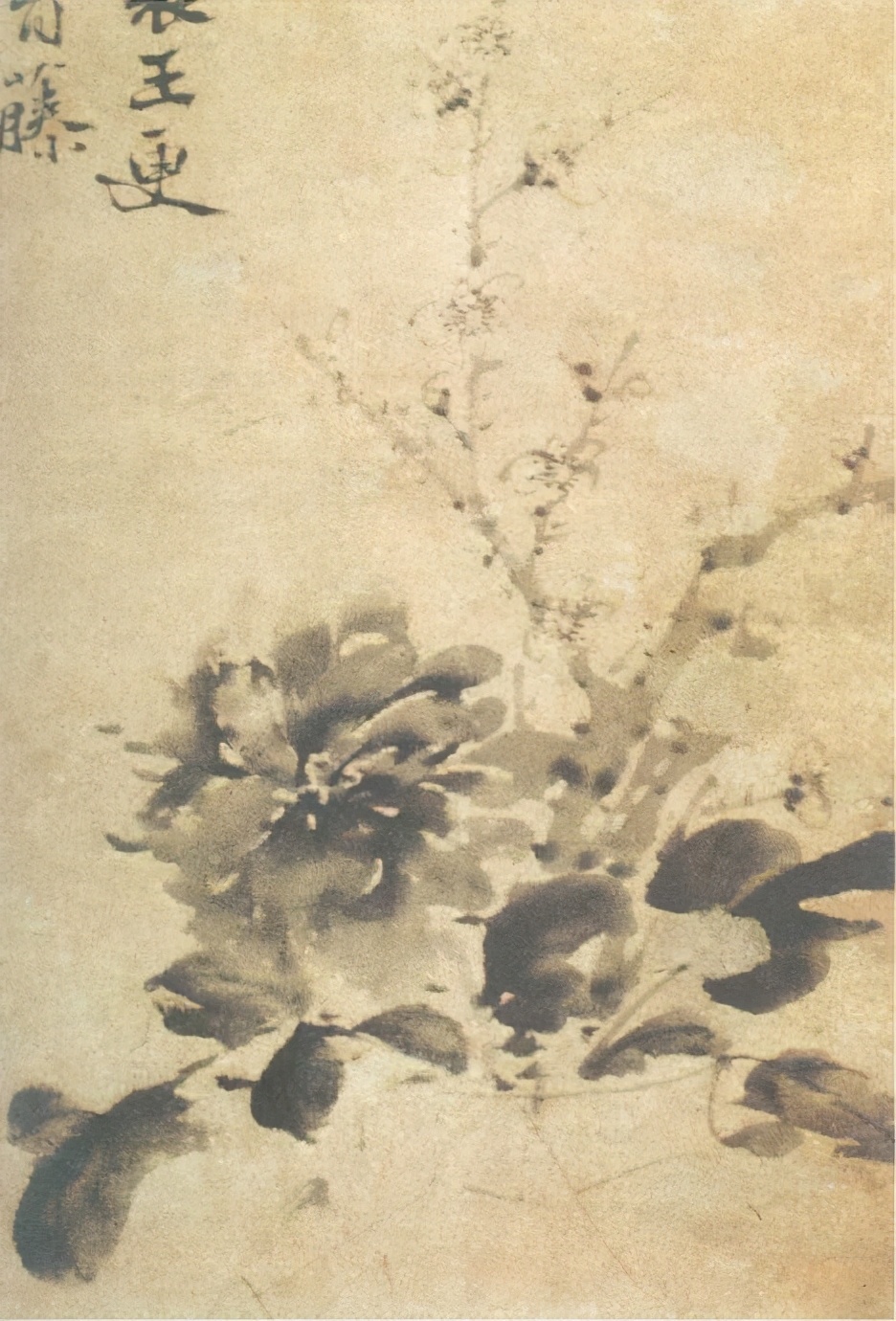 我以我墨写我意——明代大画家徐渭