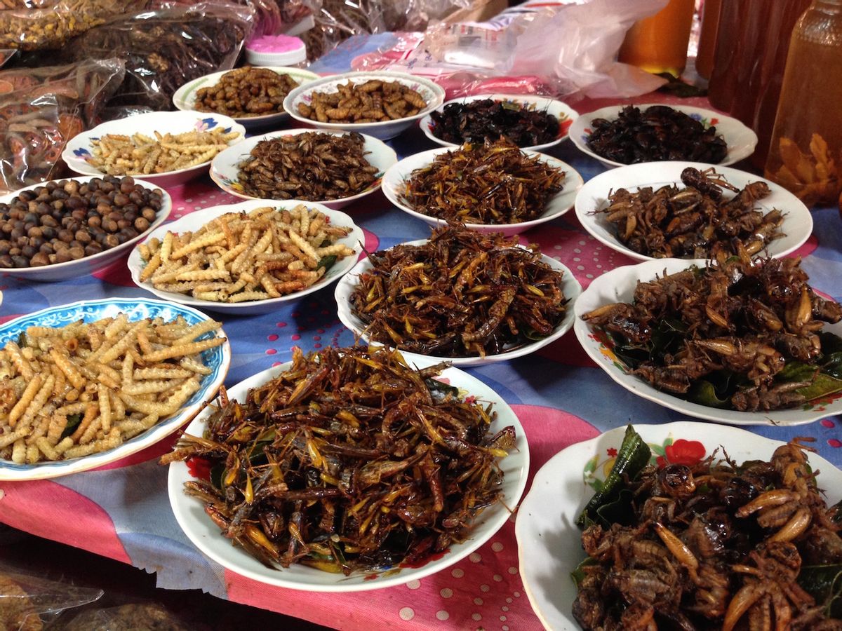 这是菜市场还是动物园?可怕的老挝野味市场,保护动物明码标价