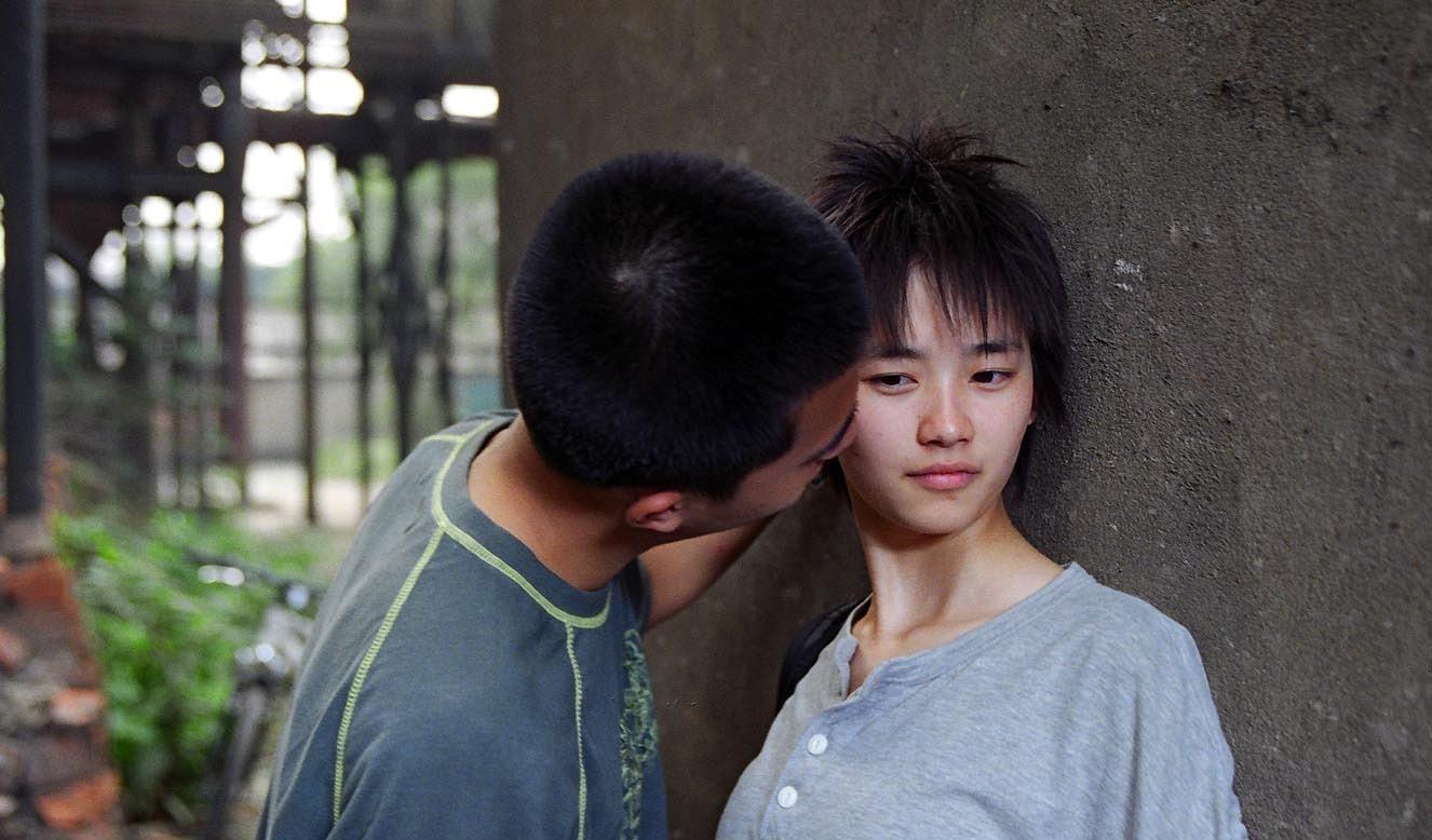 刘雅瑟:为流浪狗呐喊,揭示爱与理解的真相