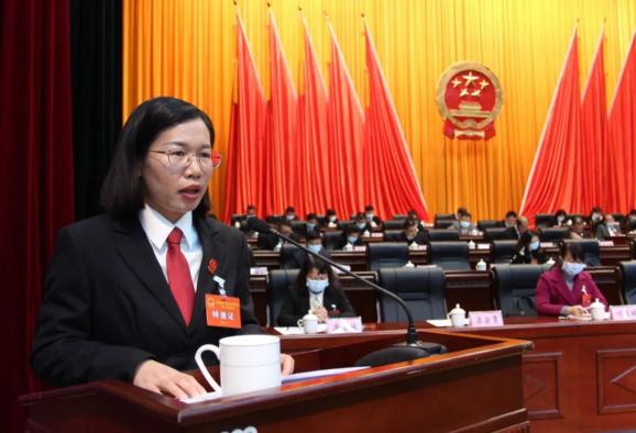 卢靖同志做德保人民法院2021年工作报告