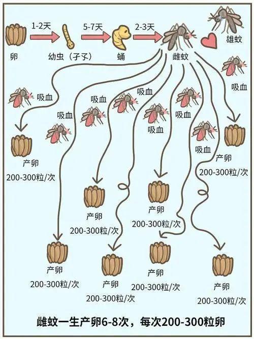 蚊子最大的克星竟不是蚊香?教你个土招,让蚊子有来无回