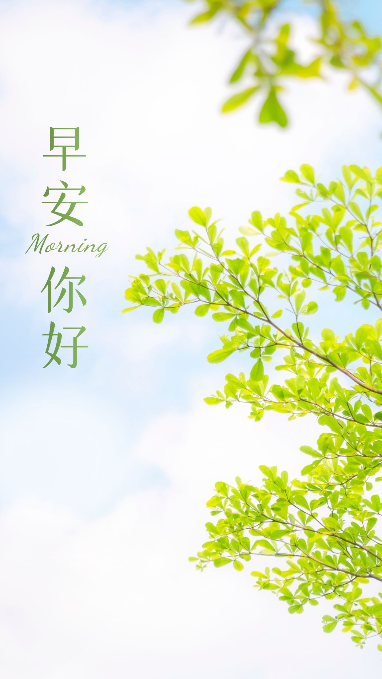 正能量早上好图片问候语,行动,只有行动,才能决定价值!