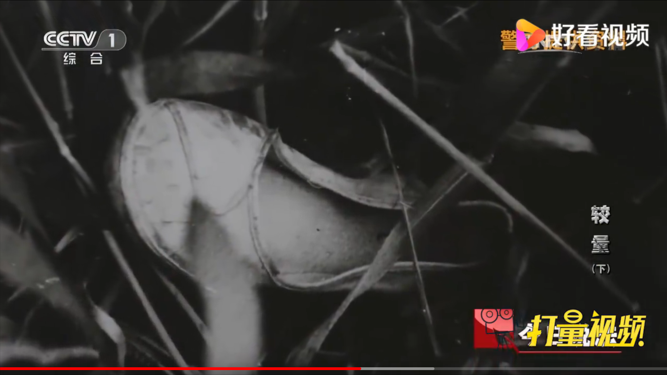 「定案推翻」疑点重重,归罪已死者草率结案的魏淑敏案为哪般?