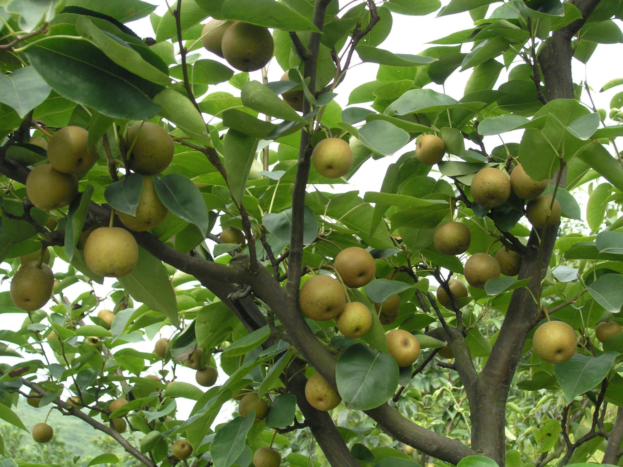 被拉进"黑名单"4种香烟,医生建议:烟瘾再大也要尽量"远离"