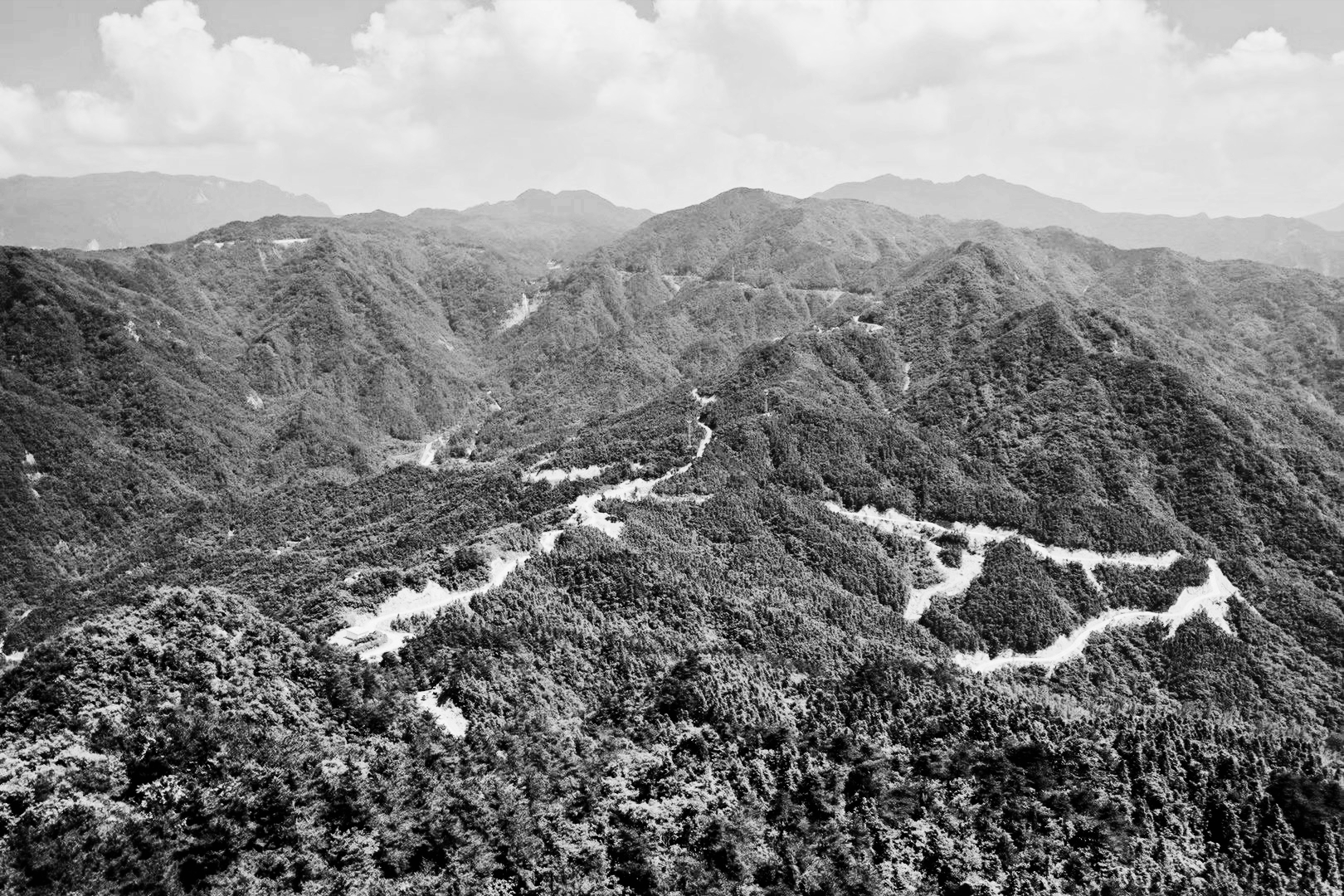 解放战争中最冒险的行动刘邓大军损失超半数是否成功引发争论