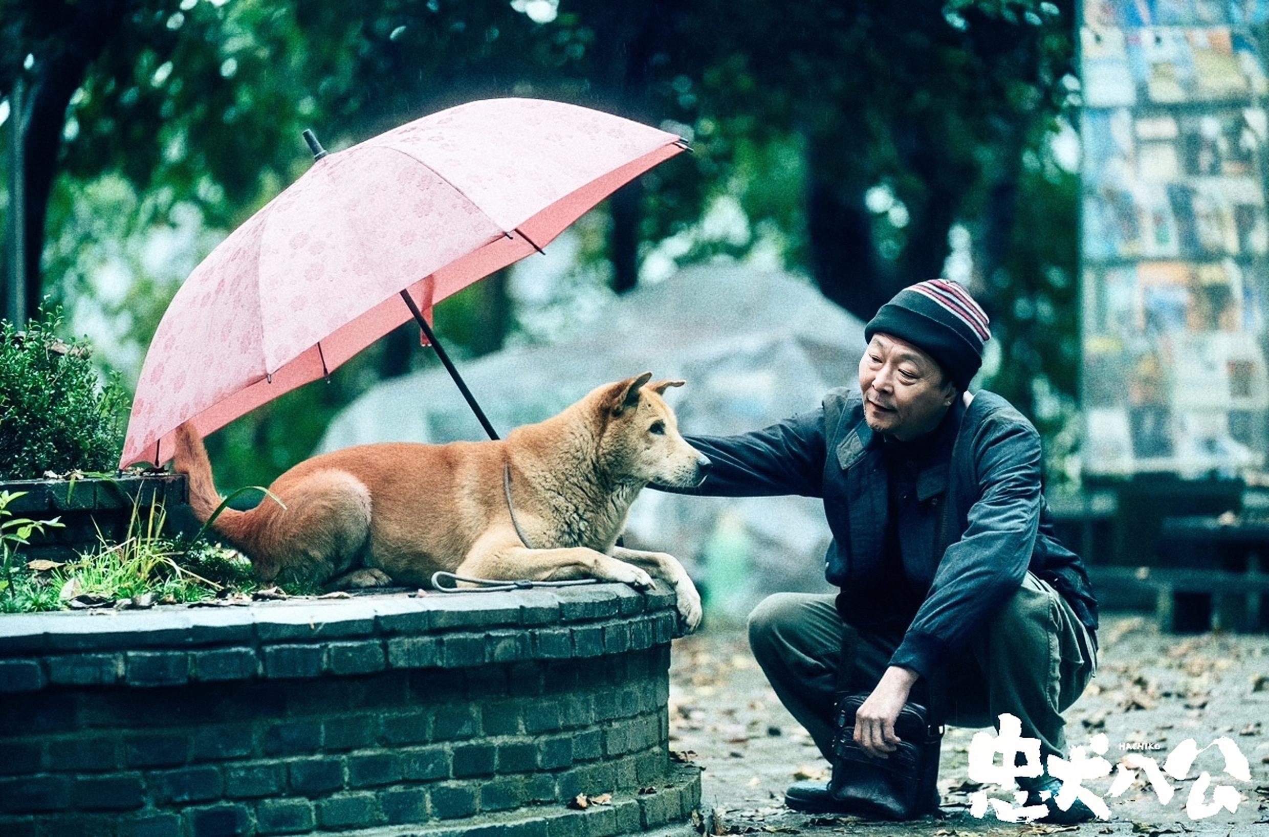 中国警犬电影图片