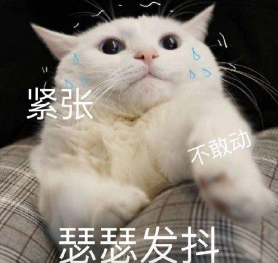 猫咪一有泪痕,颜值瞬间掉谷底,3招改善泪痕问题
