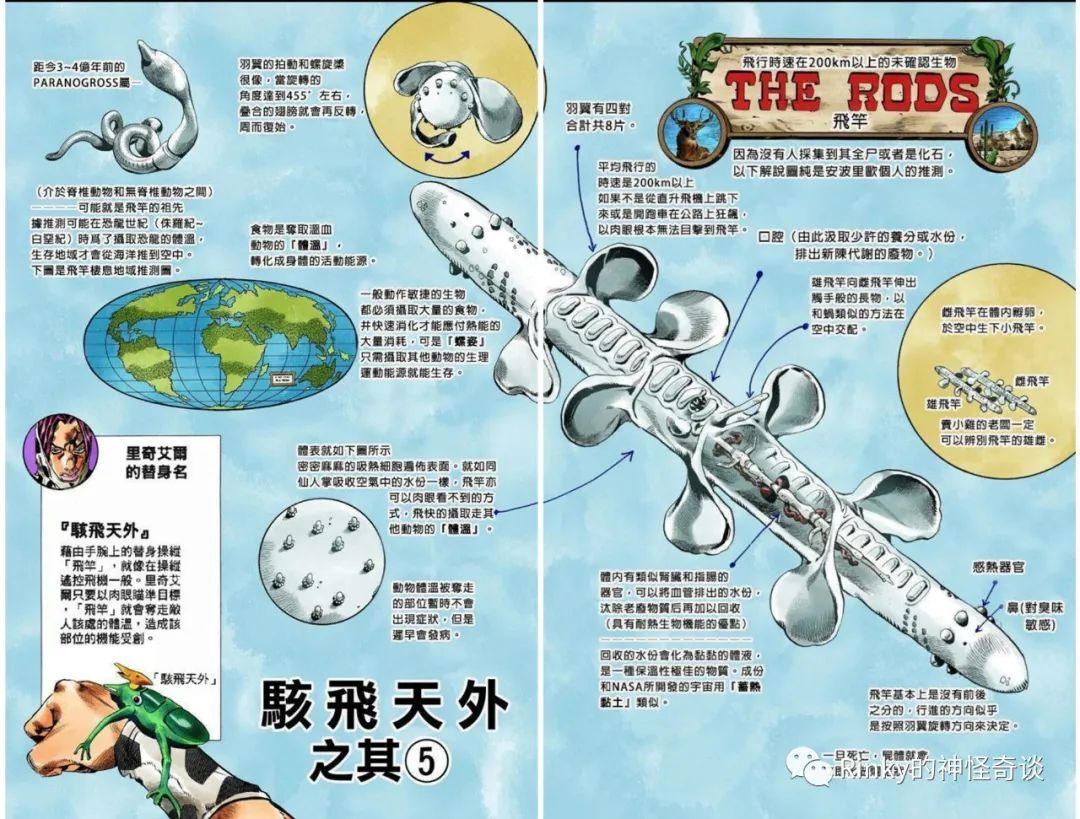 让我们再次"走近科学"——「飞棍」的往事