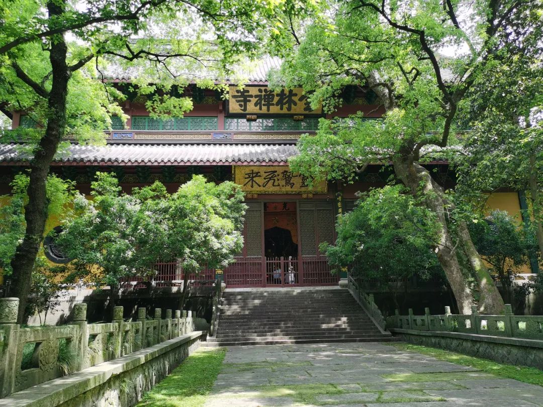 那年,月宫的桂子落在灵隐寺前的月桂峰上,秋日的杭州满城桂香