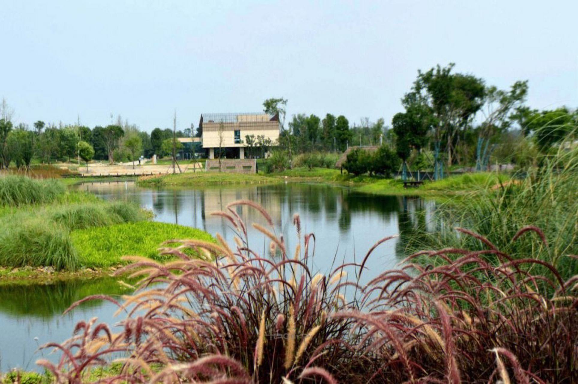 成都中和湿地公园,一个春意盎然的美景,让你尽享自然之美.