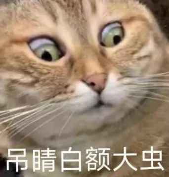 猛1表情包图片