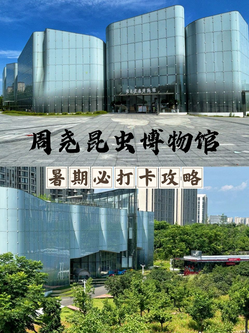 想知道逢暑假最难预约的周尧昆虫博物馆怎么抢号?